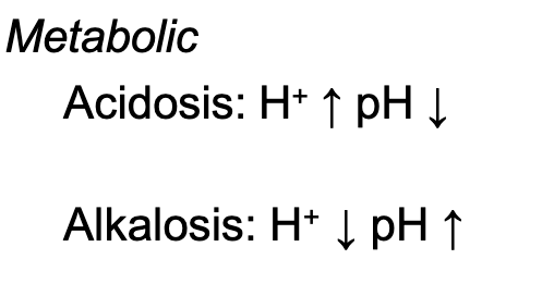 <p>Caused by factors other than abnormal breathing</p><ul><li><p>Serious problem in diabetes mellitus</p></li><li><p>Occurs temporarily after heavy exercise</p></li><li><p>Caused by severe diarrhea and aspirin overdose</p></li><li><p>Triggered by the increase in H + that leads to lower blood pH</p></li></ul><p></p>