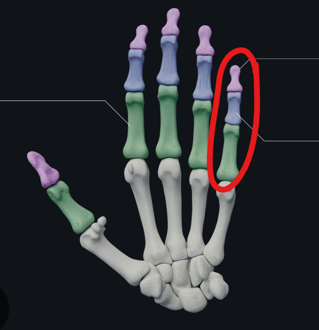 <p>Enable finger movement</p>