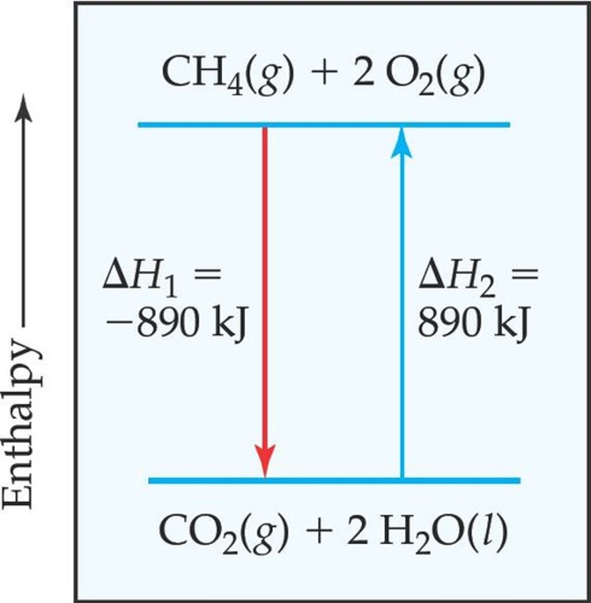 <p>The heat gained or lost during the process.</p>