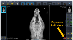 <p>Disadvantages of CR and DR </p>