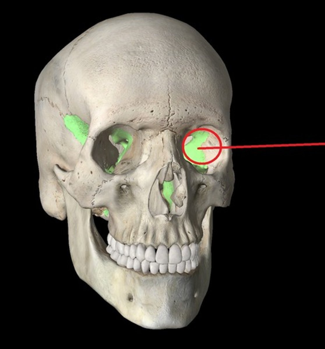 knowt flashcard image