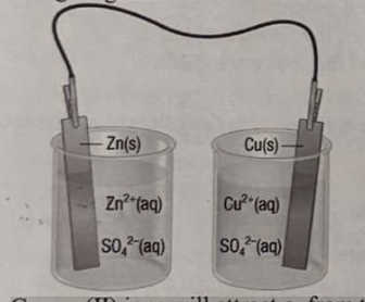 <p>35. Which statement correctly describes what will happen when the half-cells are connected as shown in the following diagram?</p><p>a. Copper(II) ions will attract e⁻ from the zinc electrode, and current will flow indefinitely.<br>b. Current will flow for an instant, then stop.<br>c. Current will not flow at all.<br>d. Zinc ions will attract e⁻ from the copper electrode, and current will flow indefinitely.</p>
