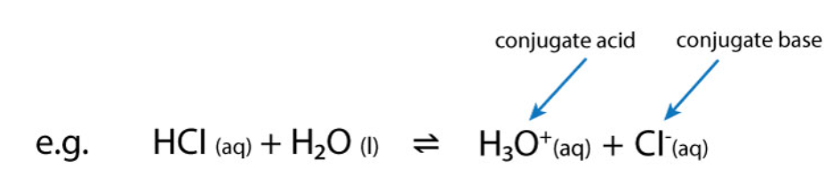 <p>A species which has lost a proton.</p><p></p><ul><li><p>Conjugate bases act as bases in the backwards reaction i.e. they accept a proton to return to the original acid.</p></li></ul><p></p>