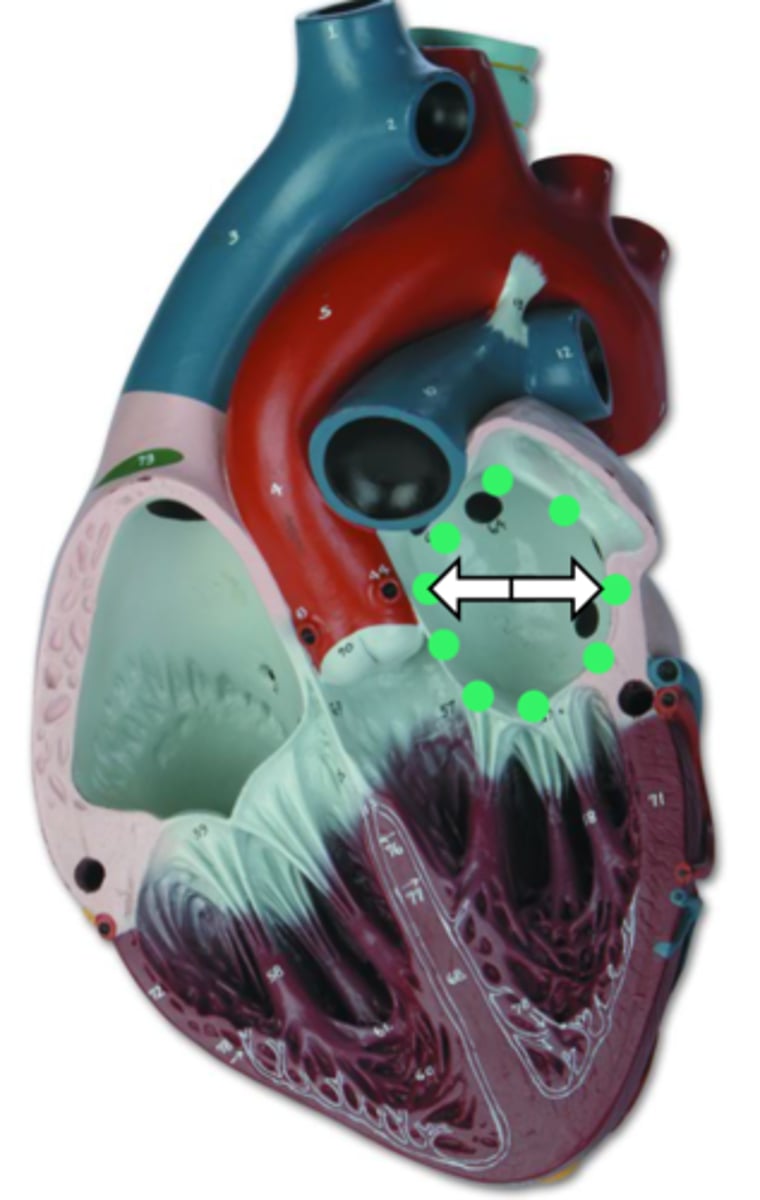 <p>name the structure</p>