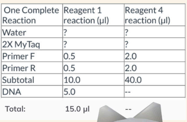<p>PCR Table calcuations </p>