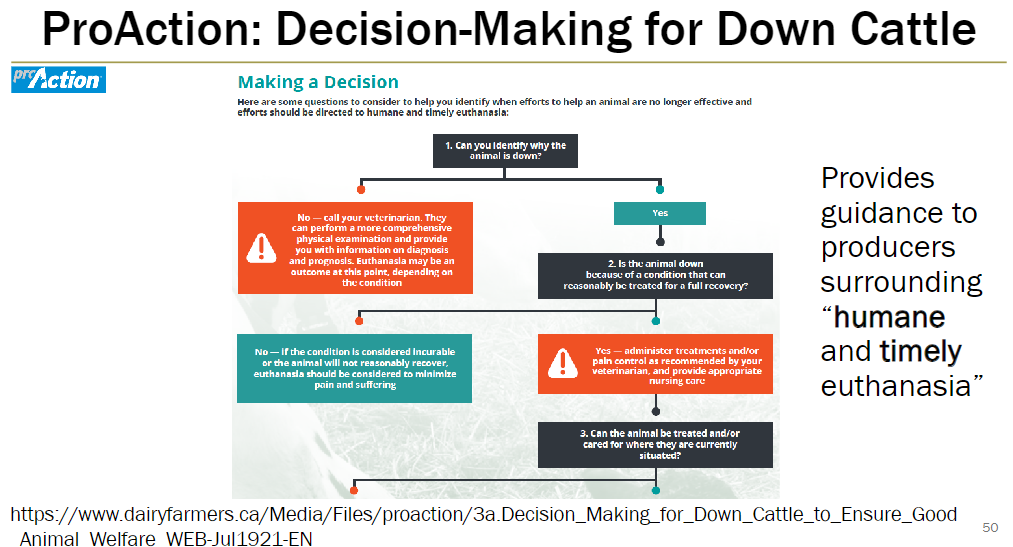 <p><strong>Purpose</strong><br> Provides guidance to producers on humane and timely euthanasia of down cattle</p><p><strong>Implementation</strong><br> Part of Dairy Farmers of Canada on-farm Animal Care Assessment Program</p>
