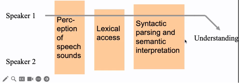 <ol><li><p>where we perceive the sounds - cannot process two speech sounds simultaneously </p></li><li><p>at lexical access - cannot retrieve two meanings in parallel </p></li><li><p>at interpretation - cannot interpret what two people saying </p></li></ol>