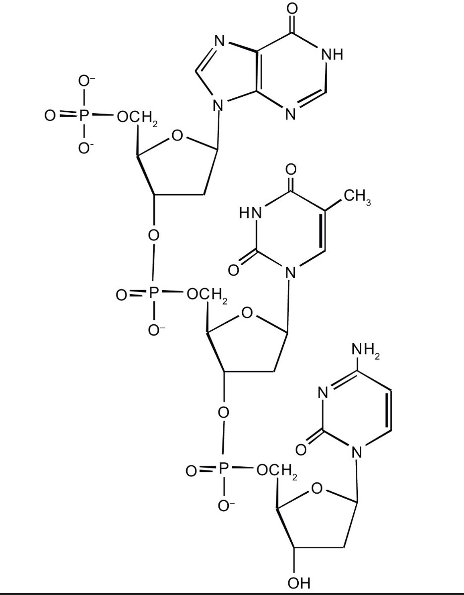 <p>what is it?</p>