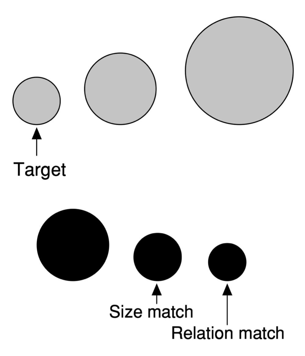 <p>feature comparisons are important, and similarity is based on overall configurations in comparison to other objects (context-dependent)</p>