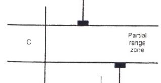 <p>one fossil exist for a long period of time where the two other fossils don’t exist in the same time period with a biozone in the middle </p>