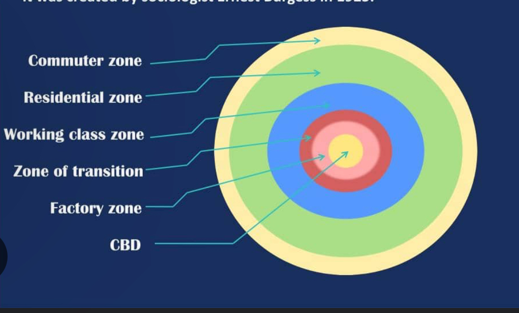 <p>Model shows that a city grows outward from a central area in a series of concentric rings. </p>