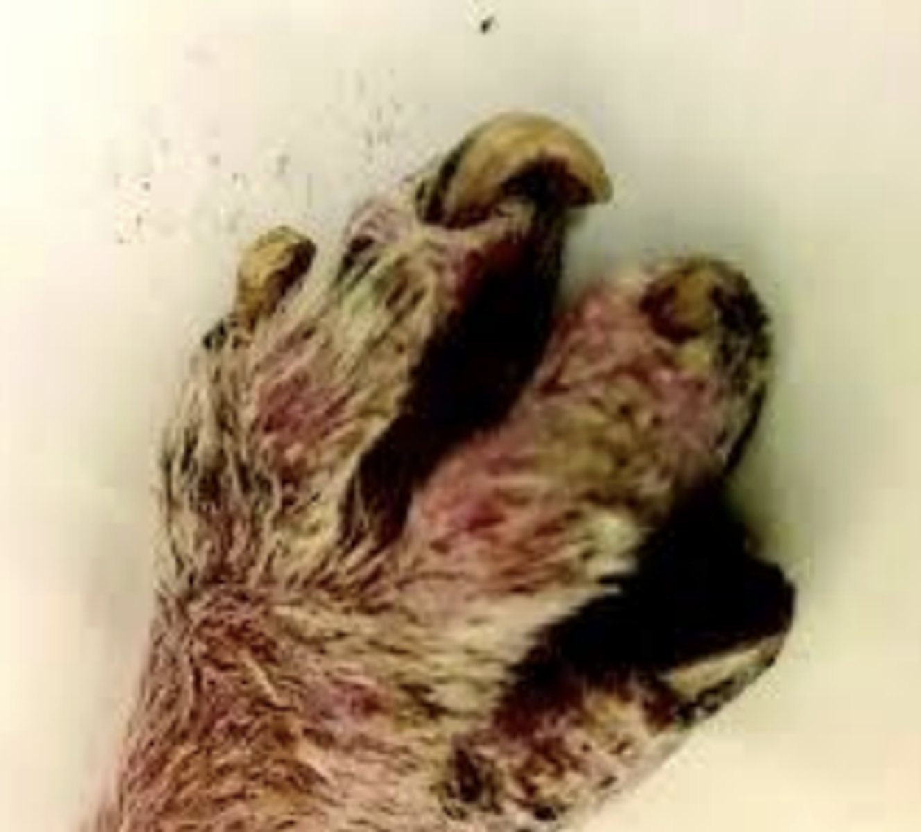 <p>What is this?</p>