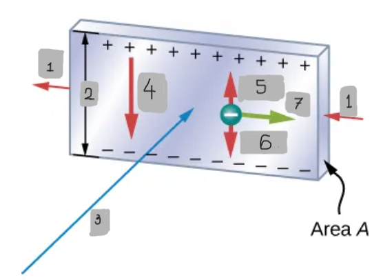 <p>(5)</p>