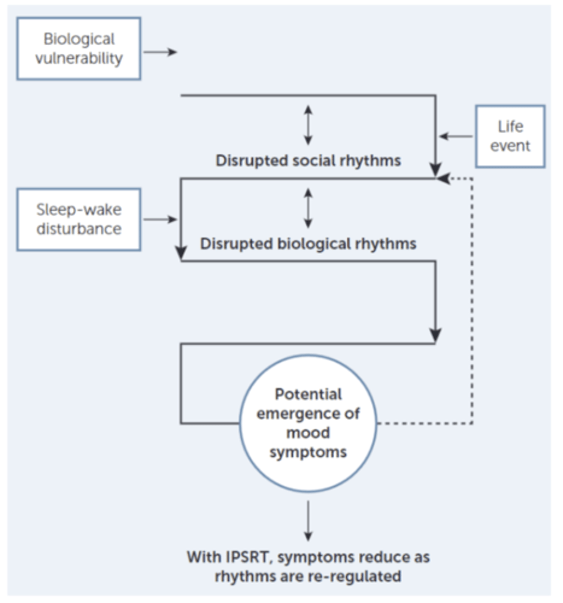 <p>Developed for bipolar disorders</p><p>What are the intervening mechanisms of stressful life events precipitating mood episodes?</p><p>Social time cues: interacting with people, eating, etc.</p><p>Stressful life events disrupt social time cues (context about time), which impact circadian rhythms, and result in disruption in biological rhythms, which in turn precipitate a mood episode</p>