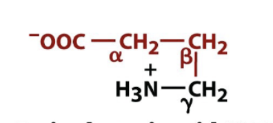 <p>biologically active amino acid derivative </p>