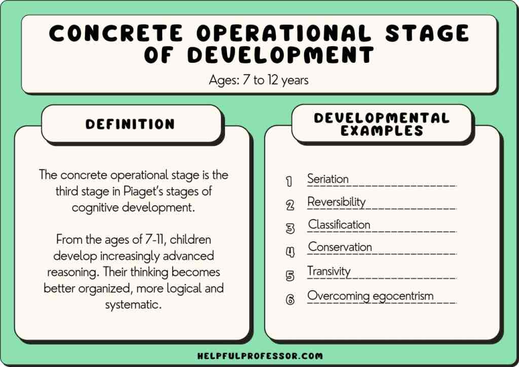 <p>concrete operational (piaget)</p>