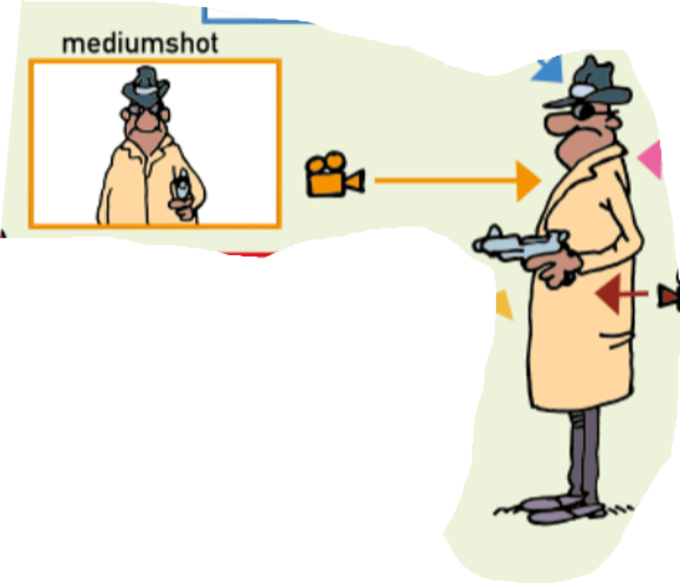 <p>het hoofd, schouders en romp zijn zichtbaar</p>