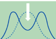 <p>Disruptive slection </p>