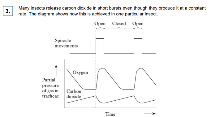 <p>(a) Using information from the diagram, suggest what stimulates the spiracles to open</p>