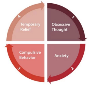 The cycle of OCD