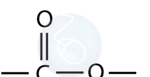 <p>Ester&nbsp;</p>