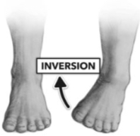 <p>Inversion</p>