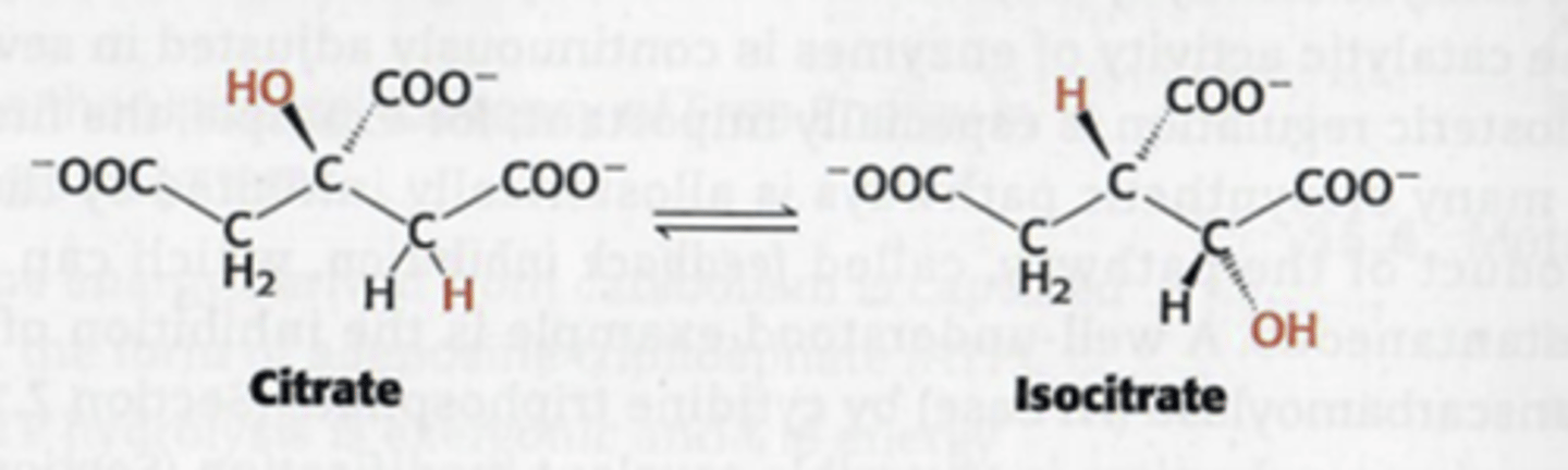 <p>verplaatsing van functionele groep binnen een molecule</p>