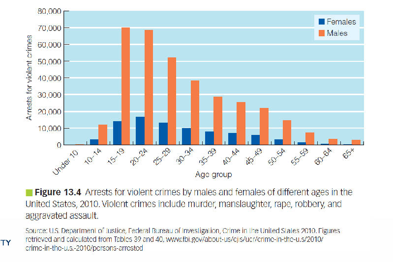 <p>Crime increases dramatically.</p>