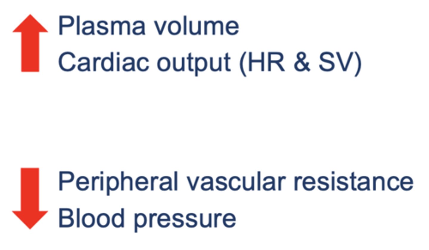 <p>increased:</p><p>- plasma volume</p><p>- cardiac output</p><p>decreased</p><p>- peripheral vascular resistance</p><p>- blod pressure</p>