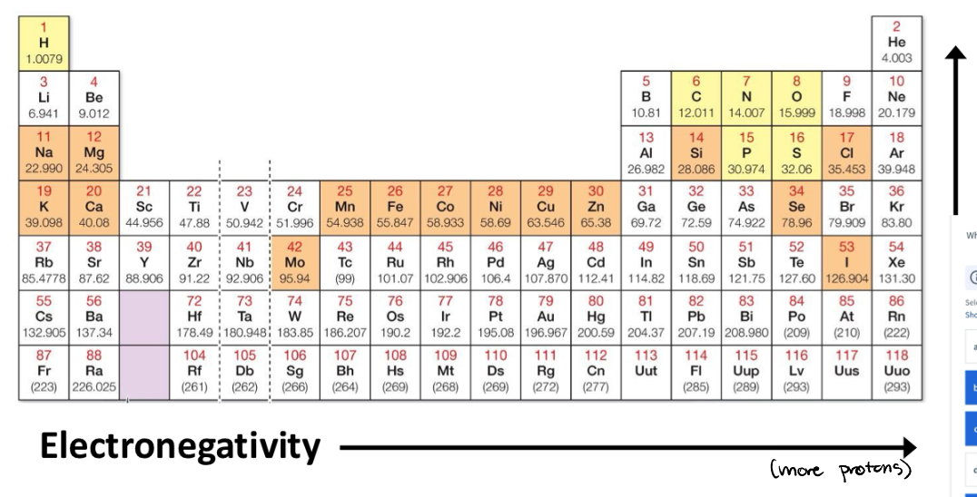 <p>Covalent bond polarity is dependent on differences in ____</p>