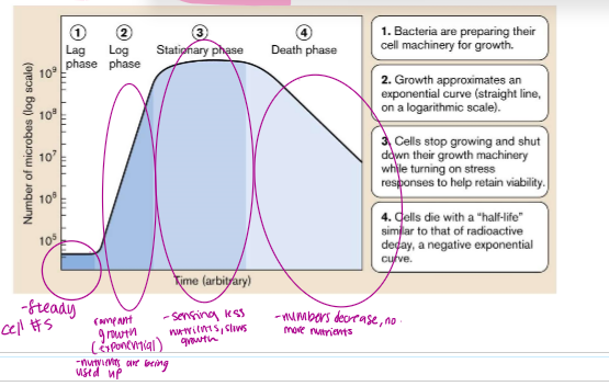 knowt flashcard image