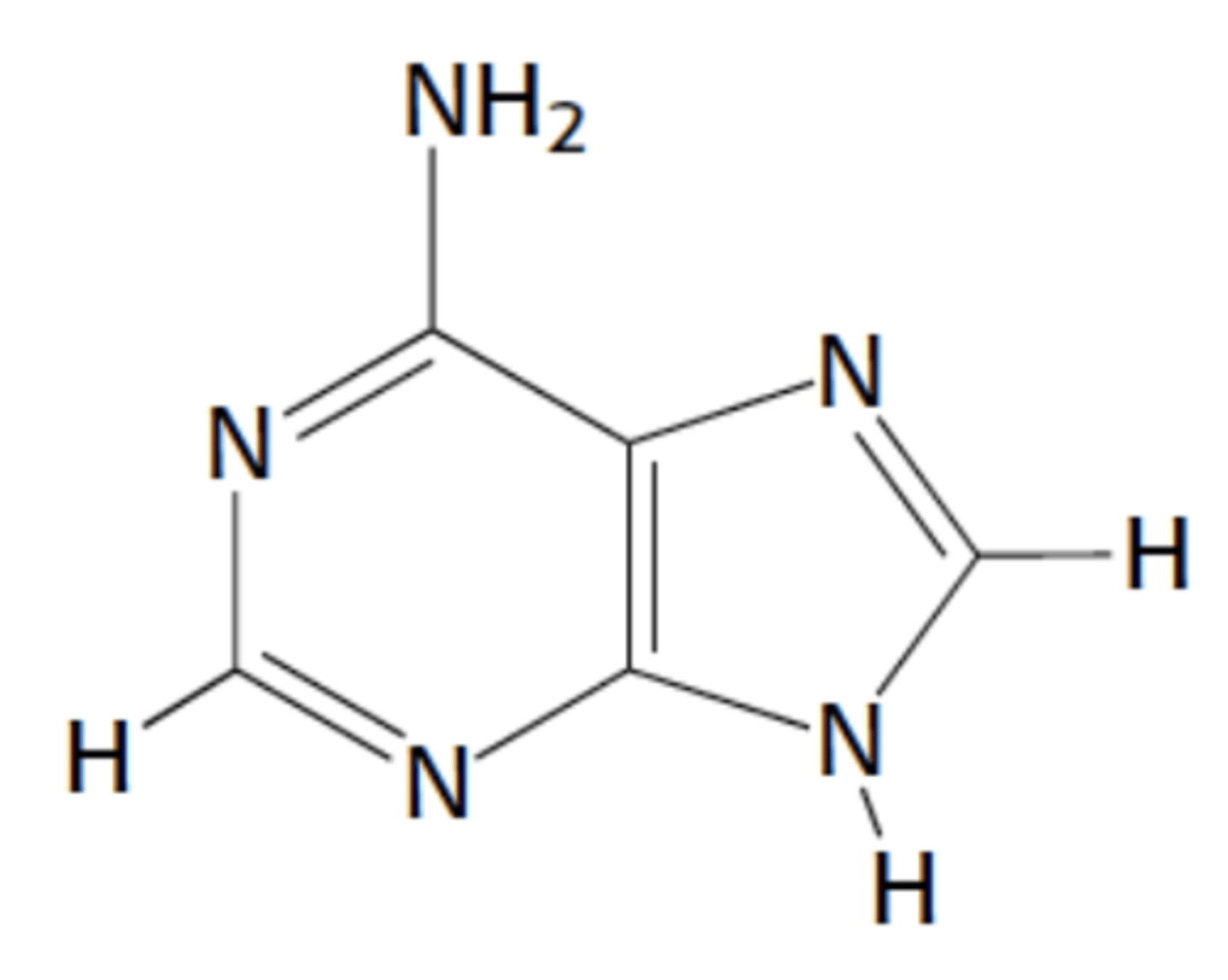 <p>Name this structure</p>