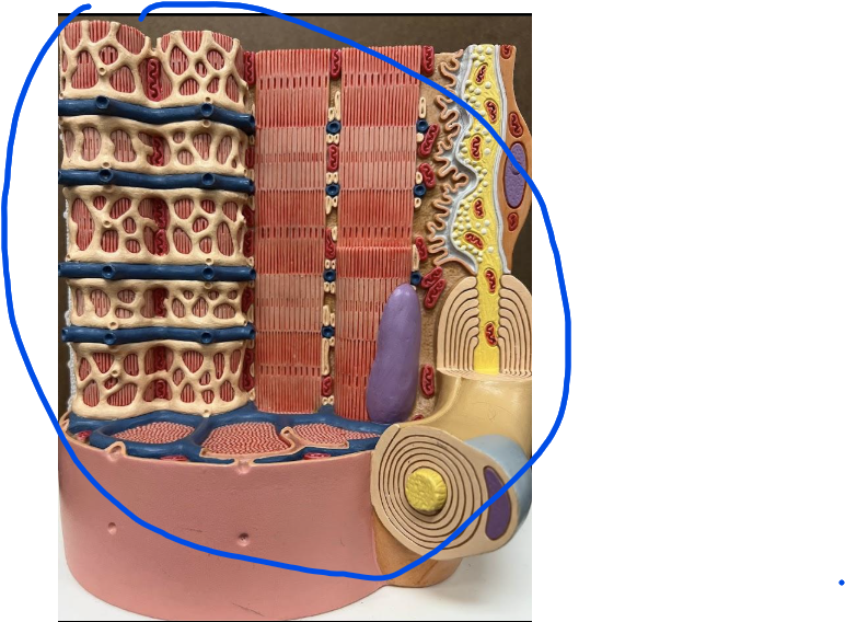 <p>What is this (entire thing) ?</p>