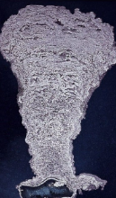 <ol><li><p>Microorganisms live on the surface of the stromatolite</p></li><li><p>Sediments deposited on the microorganisms</p></li><li><p>React by growing upward trhough the sediment, forming a new layer</p></li></ol><p>Modern stromatolies are still growin in Shark bay, Australia</p>