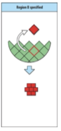 <p>Green absence from any external environmental influence still becomes square</p><p><strong>is the green cell specified?</strong></p>