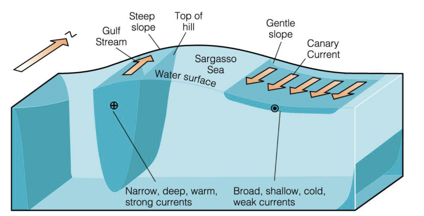 <p>Ocean currents with dynamics determined by the presence of a coastline</p><ol><li><p>Western boundary currents</p></li><li><p>Eastern boundary currents</p></li></ol>