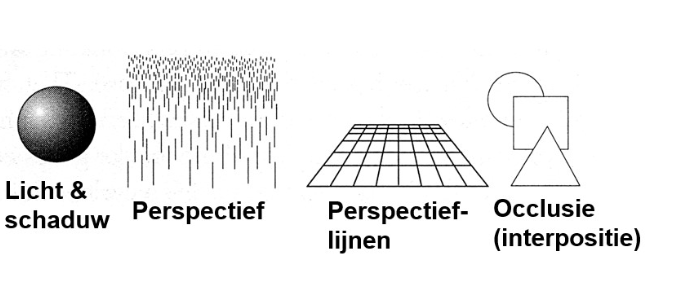 <ul><li><p>occlusie: geeft informatie over relatieve positie van objecten</p><ul><li><p>meest betrouwbare van alle depth cues</p></li></ul></li></ul><p></p>