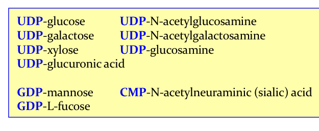 <ul><li><p>Monosaccs are added <strong>one at a time</strong> to growing carb.</p></li><li><p>Needs to be nucleotide activated form ie most freq w/ <strong>UDP</strong> (also can be GDP or CMP, see in pic)</p></li><li><p>Nuc activated form is <strong>specific</strong> for a given monosacc</p></li></ul><p></p>
