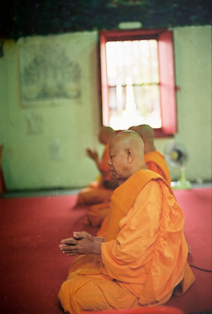 <p>Monk</p><p>Monk</p>