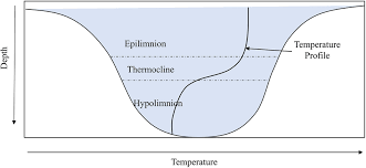 <p>Thermal profile typical of a deep stratified lake in summer</p>
