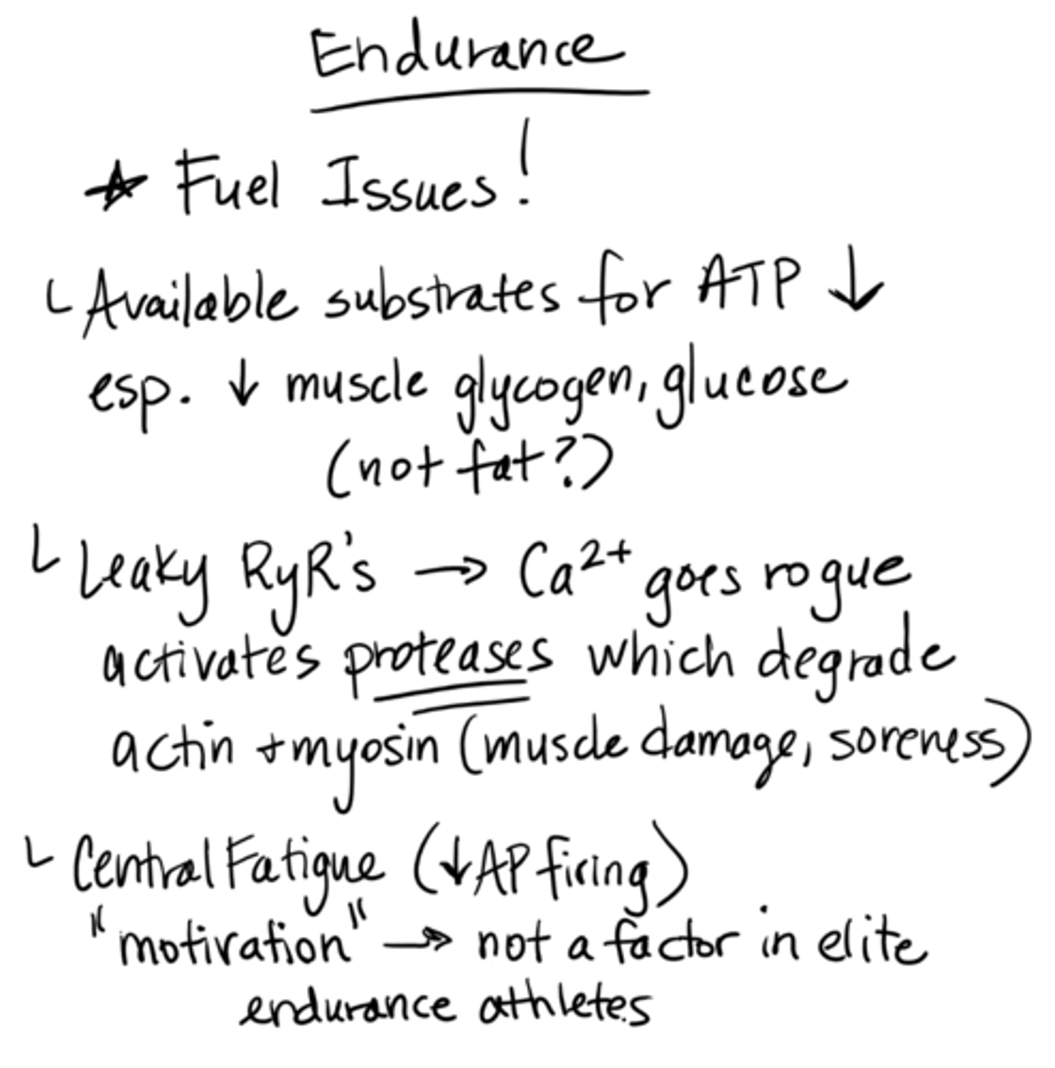 <p>fuel issues </p><p>available substrates for ATP decrease, esp. decrease muscle glycogen, glucose (not fat)</p><p>leaky RyRs → calcium goes rogue, activates proteases which degrade actin + myosin (muscle damage, soreness) </p><p>central fatigue (decreased AP firing) </p><p>"motivation" → not a factor in elite endurance athletes </p>