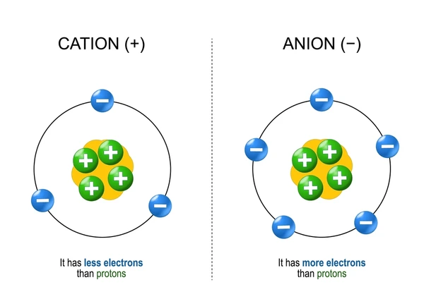 <ul><li><p>Ion with a negative charge</p></li><li><p>Neutral atom gains one or more electrons</p></li><li><p>ide</p></li></ul><p></p>