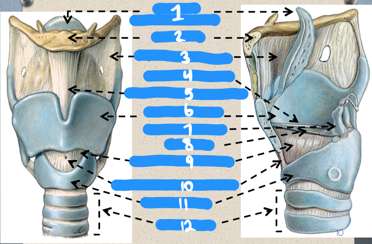 <p>1-6</p>
