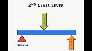 <p>fulcrum, effort, load</p>