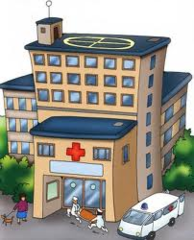 the hospital