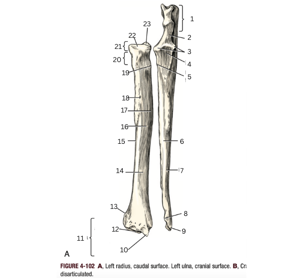 <p>18 </p>