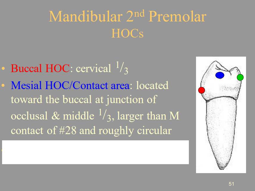 <p>B) Buccal</p>