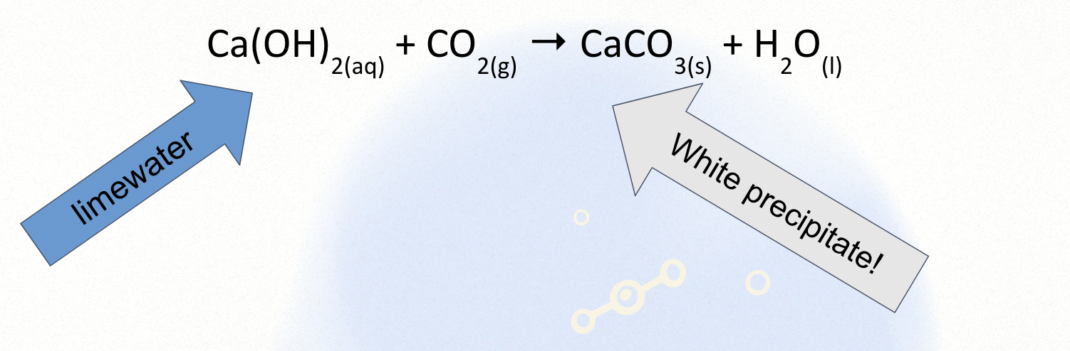 <p><span>When CO<sub>2</sub> is bubbled through lime water it turns milky/chalky/cloudy.</span></p>