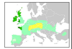 <p><strong>Celtic culture</strong>, starting around 800 BC, was a shared Iron Age tradition across Europe, including Britain. It had tribal societies led by druids, rich oral traditions in art and music, and limited writing, mostly on coins.; Bronze / Iron Age culture</p>
