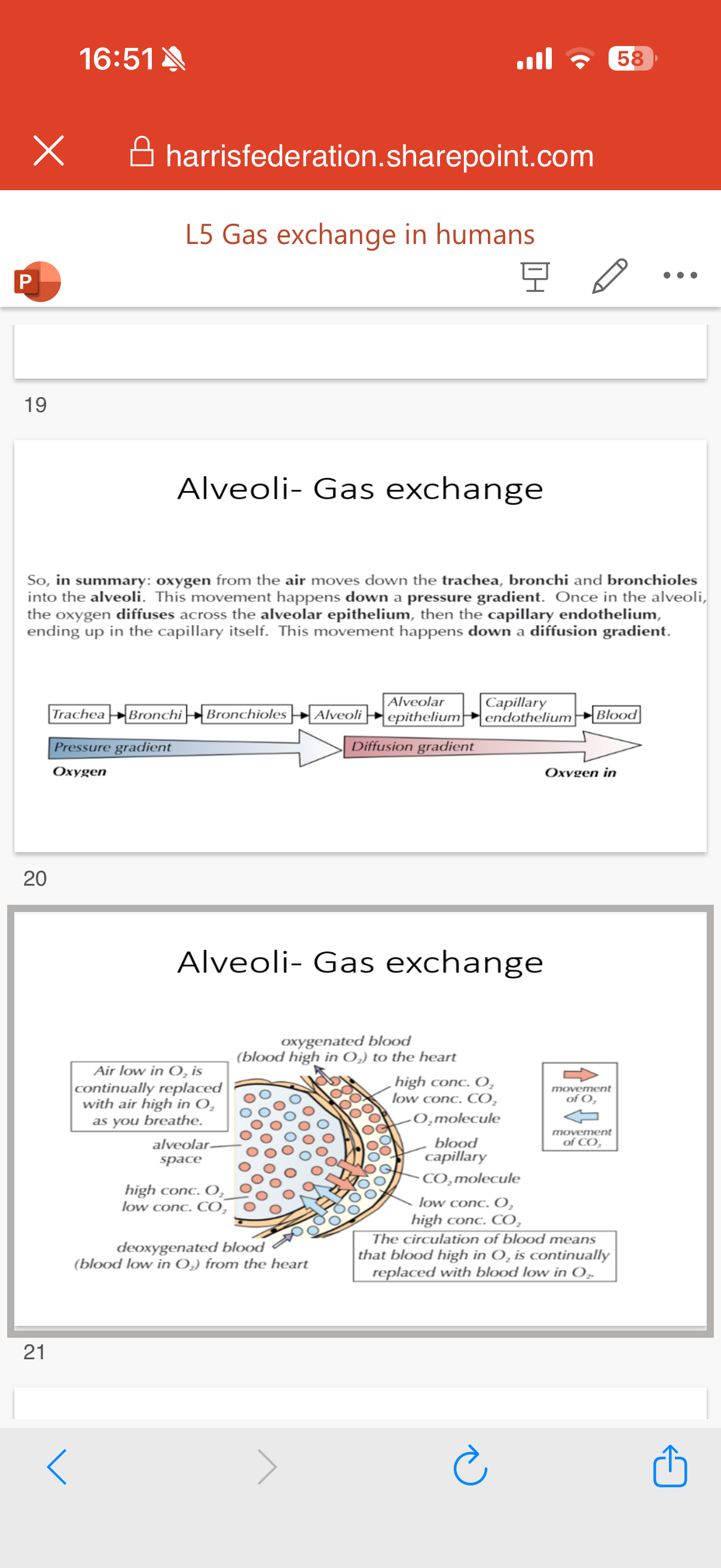 <p>More images for visualisation:</p>